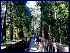 Nikko Toshogu Shrine 47